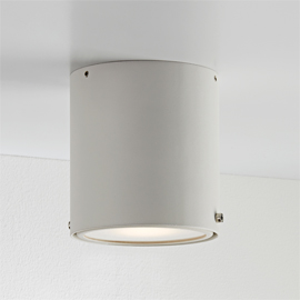 IP S4 Ceiling Light